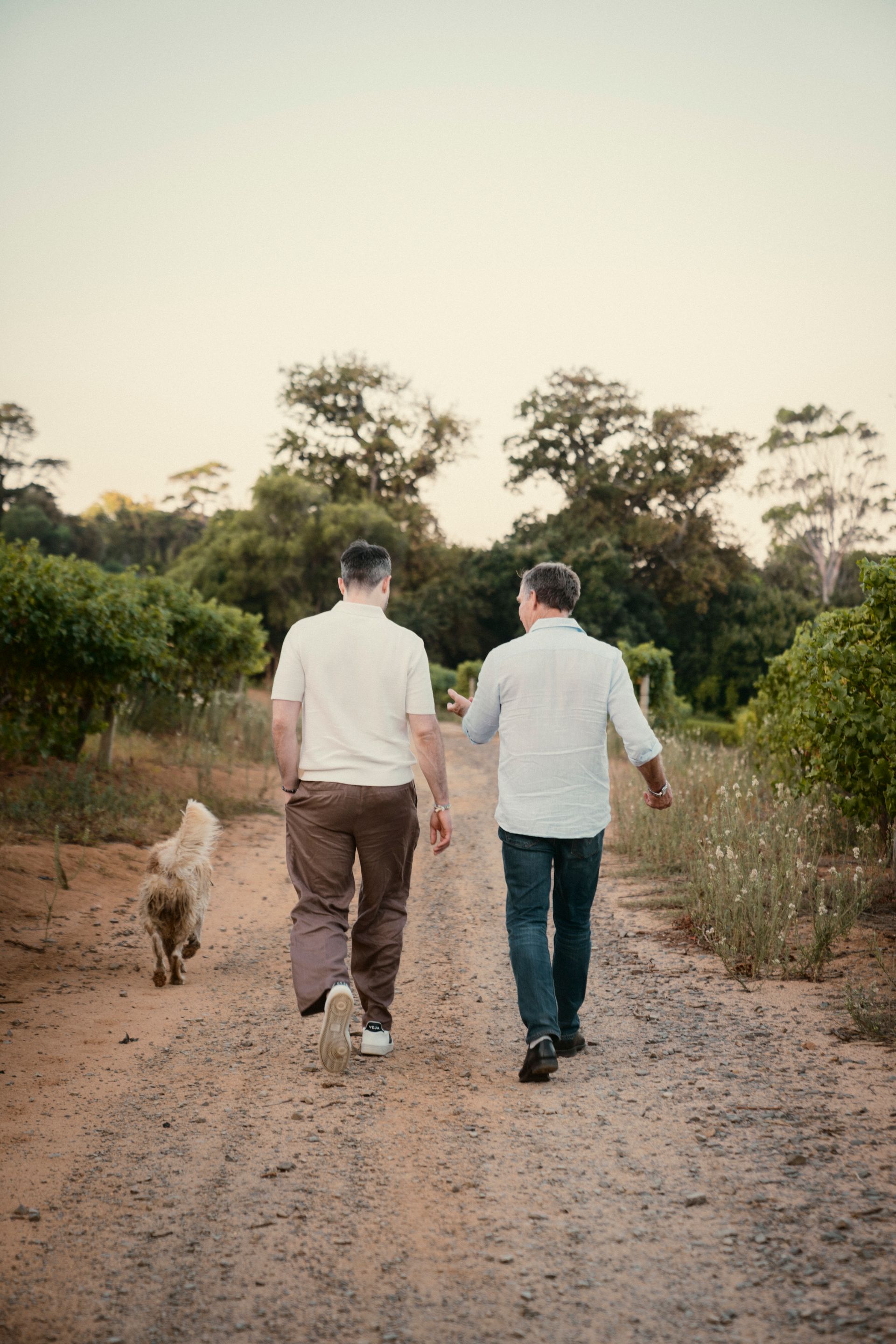 Markus und Lars Maack schlendern mit einem Hund über das Weingut.