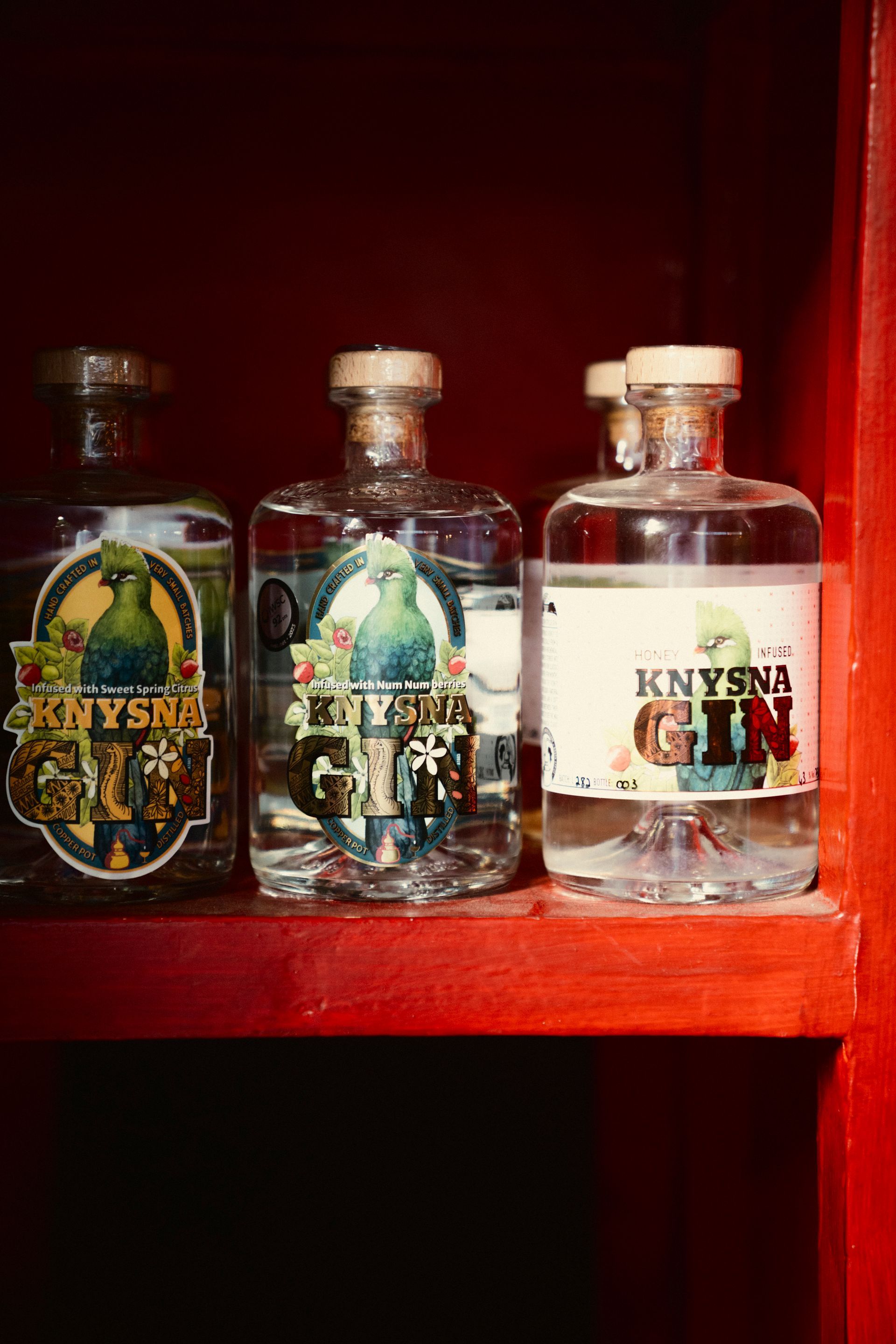 Nahaufnahme in ein rotes Regal mit verschiedenen bunten Gin Flaschen