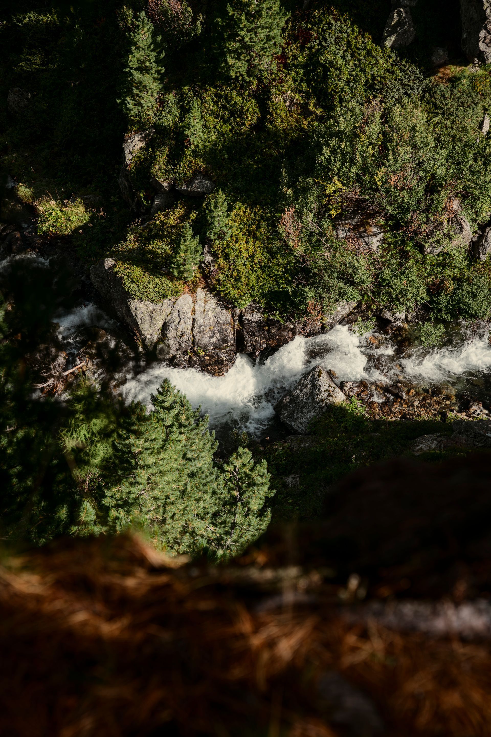 Marie Conde sitzt an einem gedeckten Tisch mit Weingläsern in einem hellblauen Hemd und lächelt