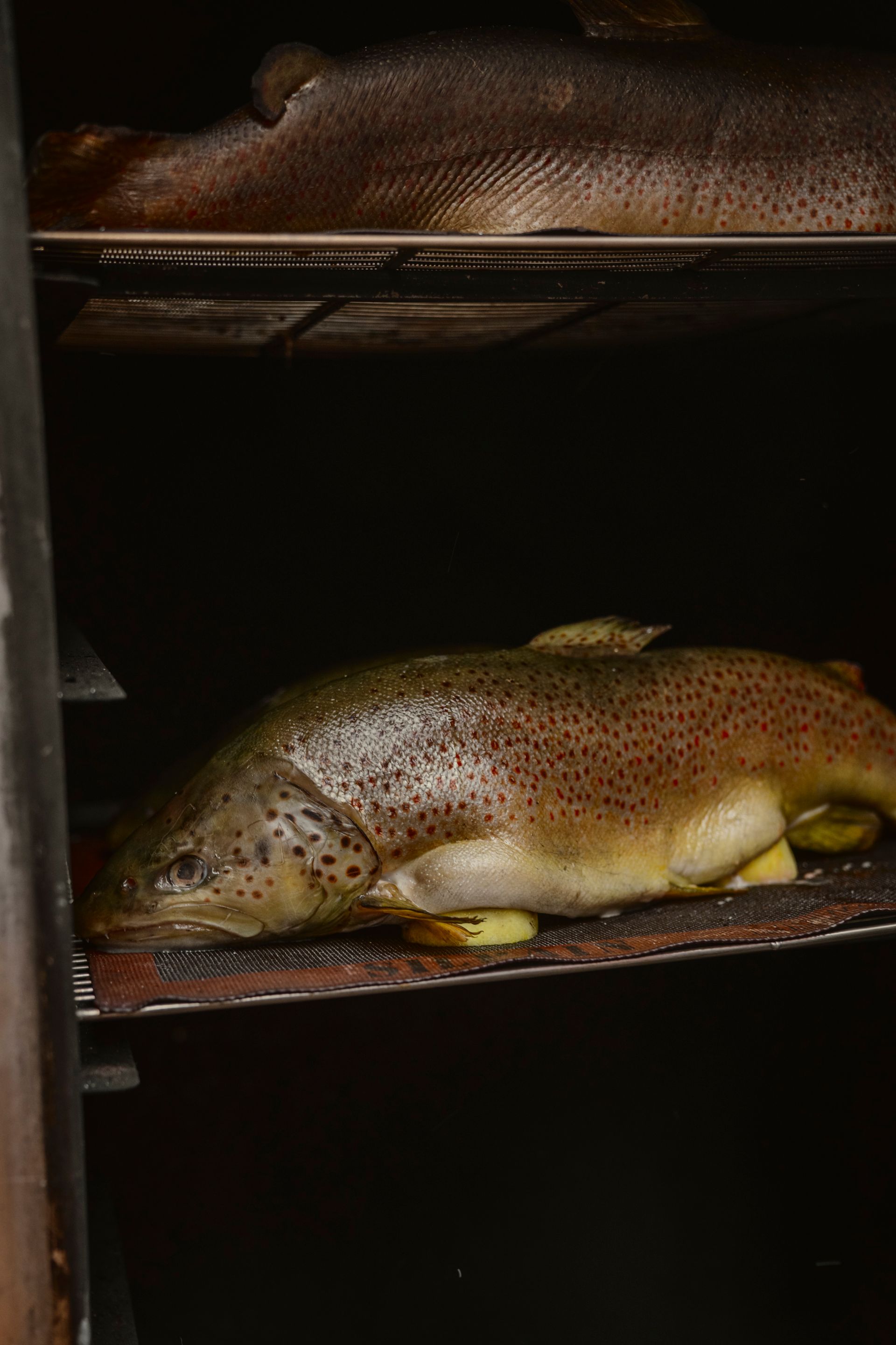 Dessert im Beyond Restaurant auf weißem Teller mit rotem Eis