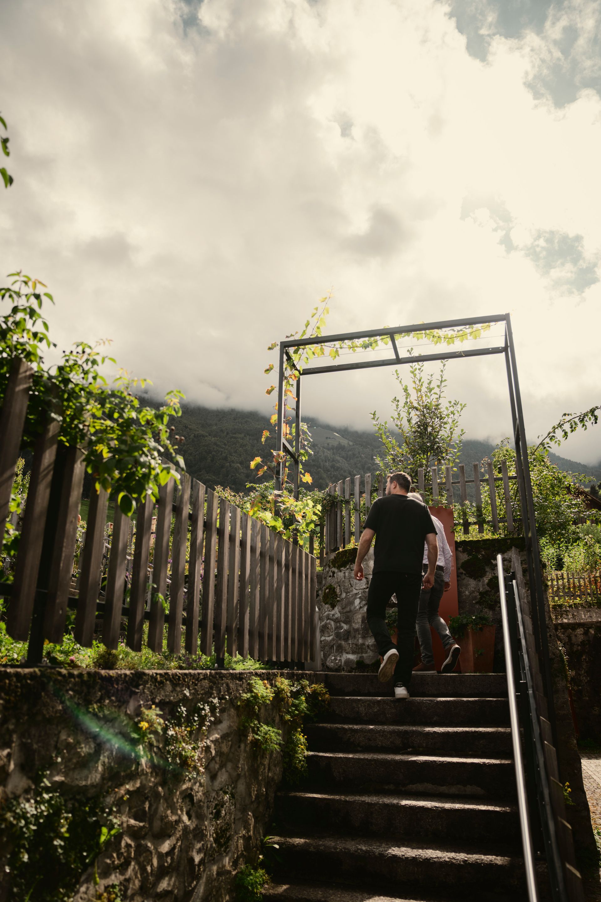 Treppe in Weingarten
