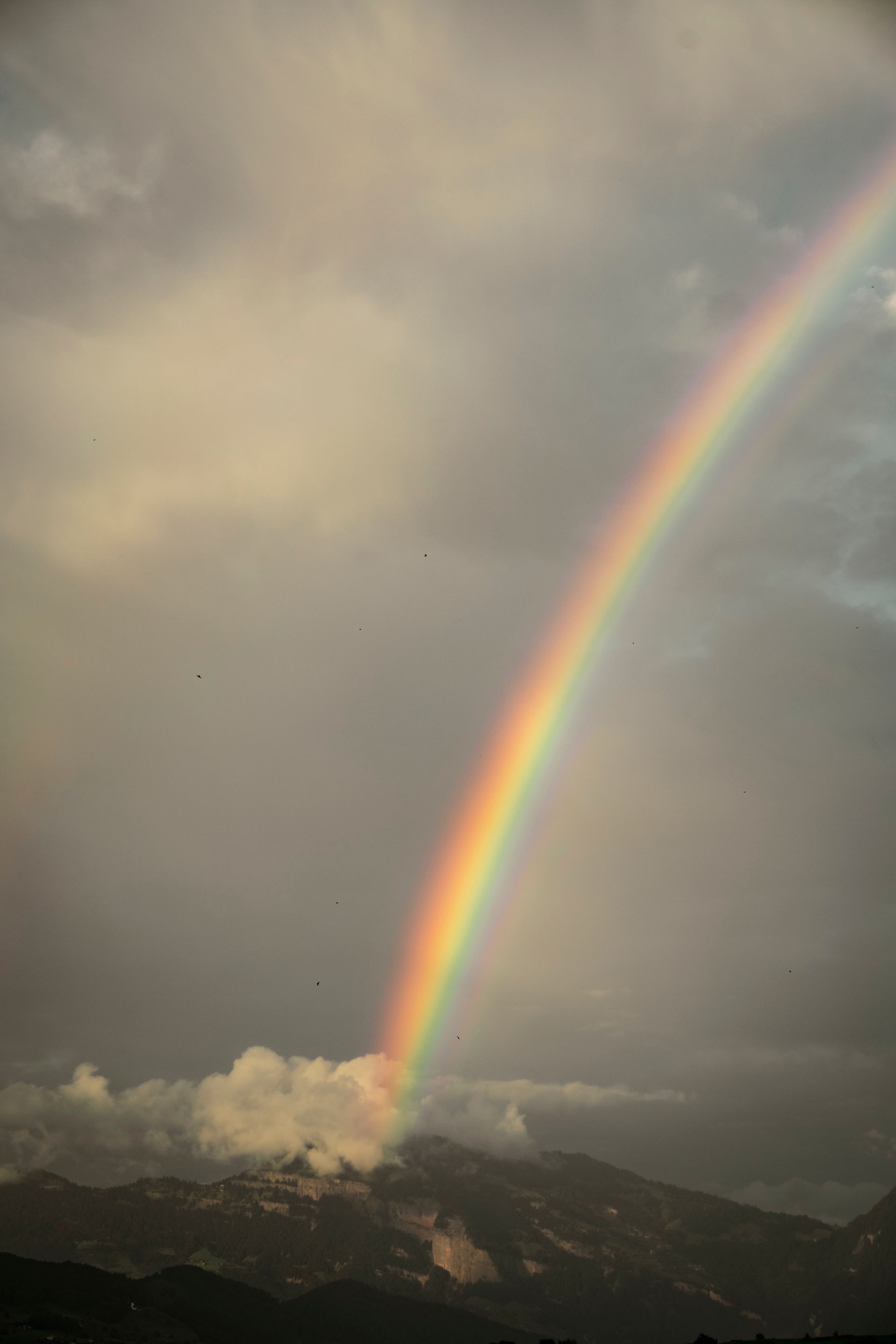 Regenbogen