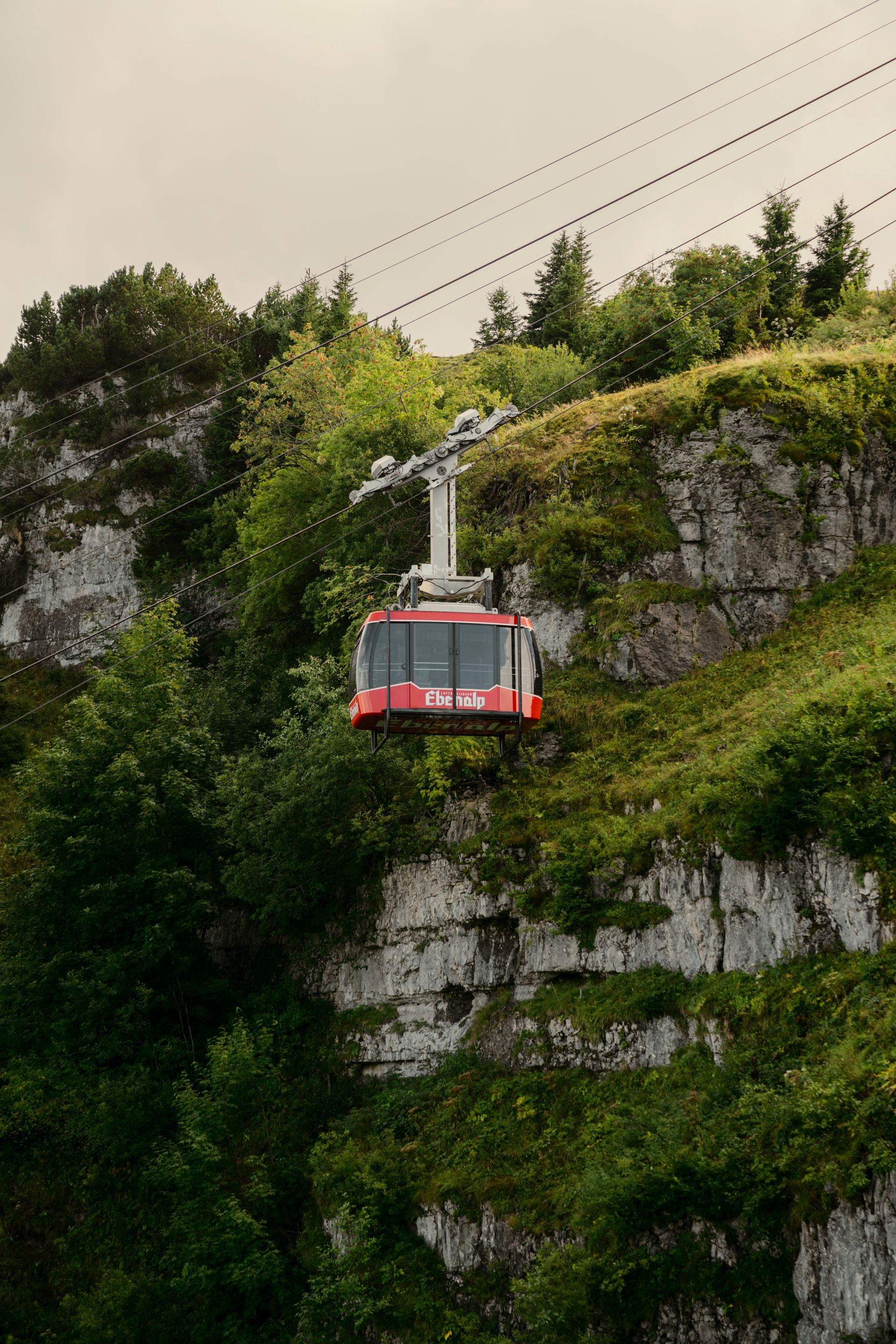 Marktstand in Kapstadt mit gestrickten Löwen