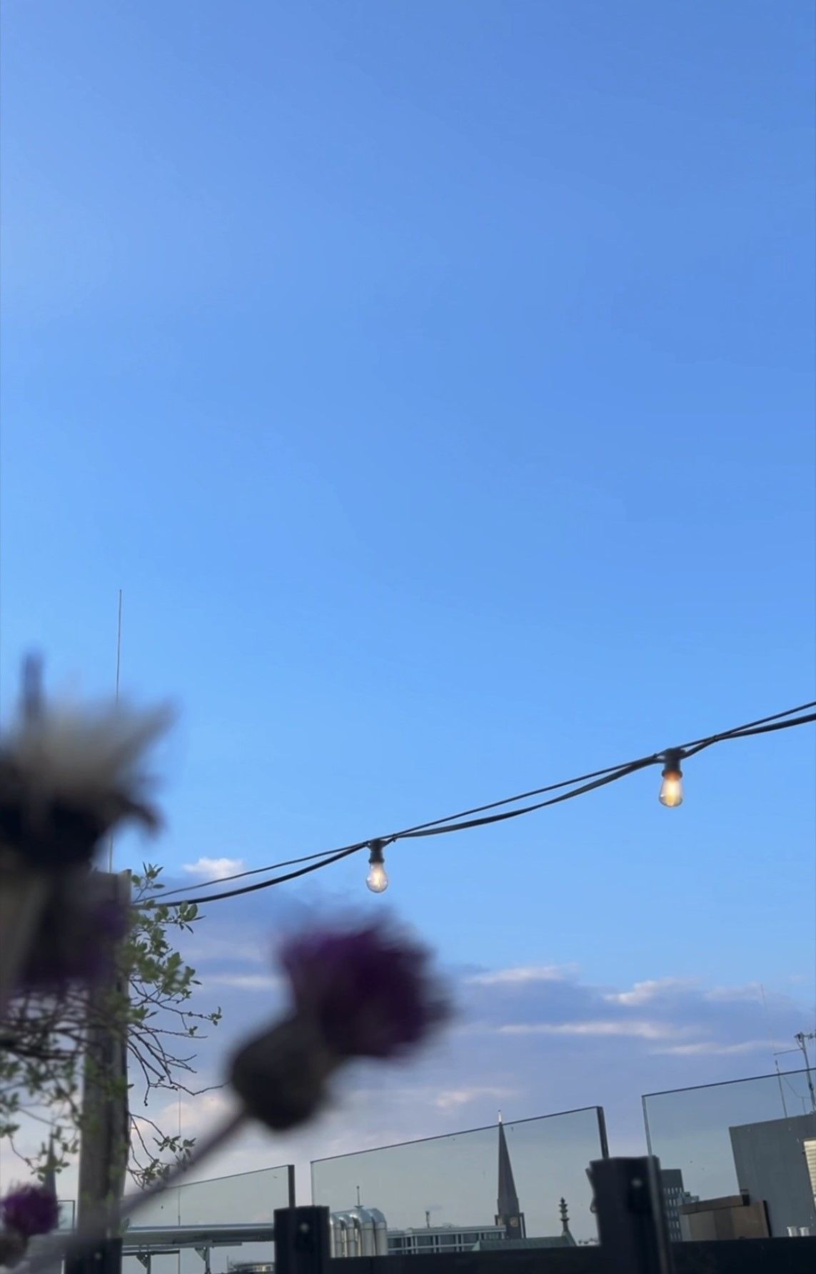 Blick in den Himmel mit Lichterkette