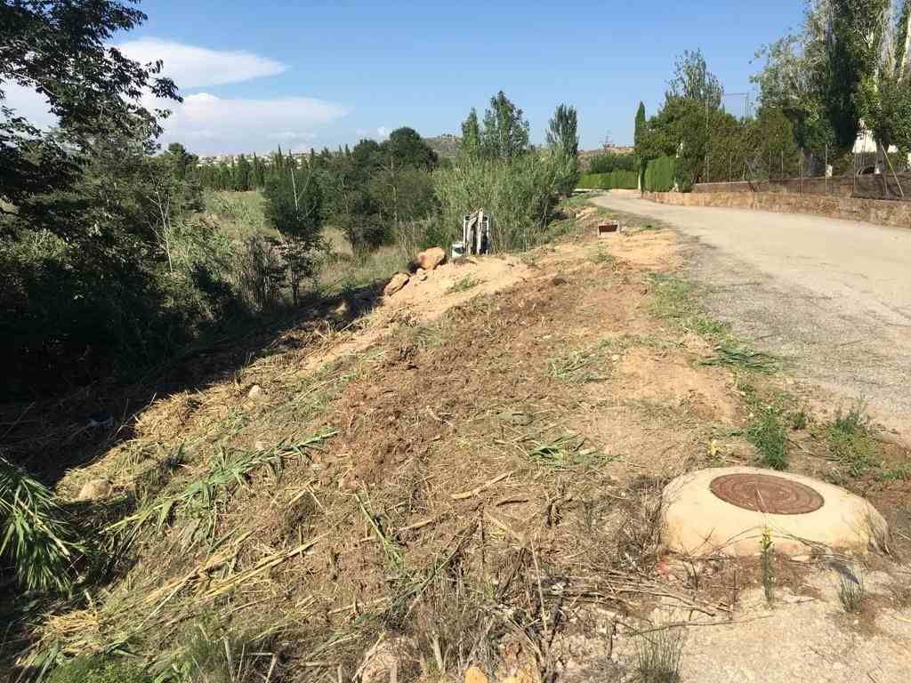 Un terraplén de tierra al borde de una carretera asfaltada, con árboles y arbustos bajo un cielo despejado.