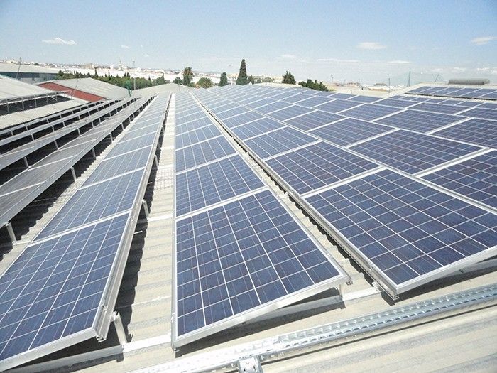 Hileras de paneles solares azules en una azotea bajo un cielo brillante.