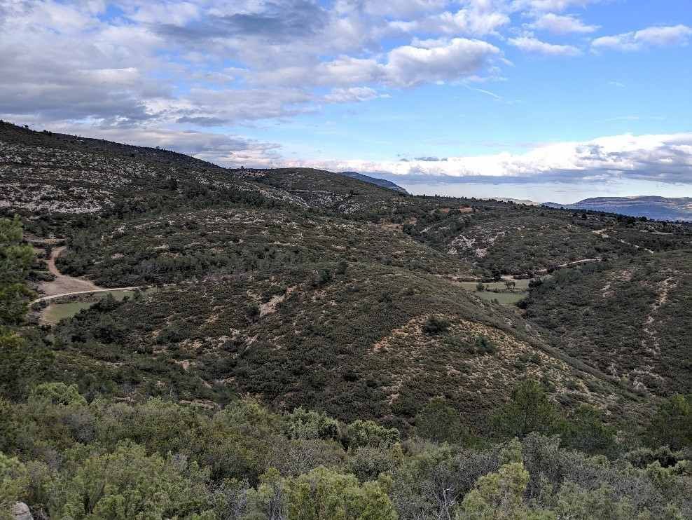 Amplias colinas desérticas bajo un cielo nublado, con sinuosos caminos de tierra y escasos arbustos verdes.