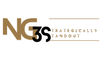 Logo NG3S