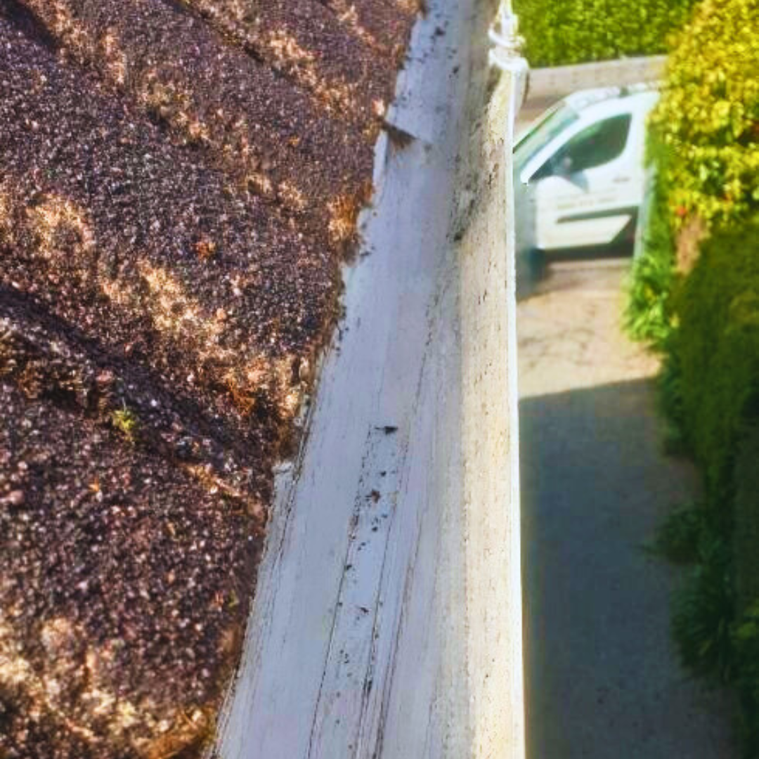 Narrow view down a roof edge to a driveway with a white car and green hedge nearby