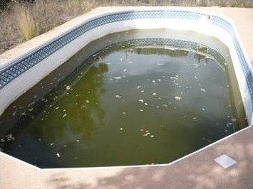 Mise en service de piscine - Avant