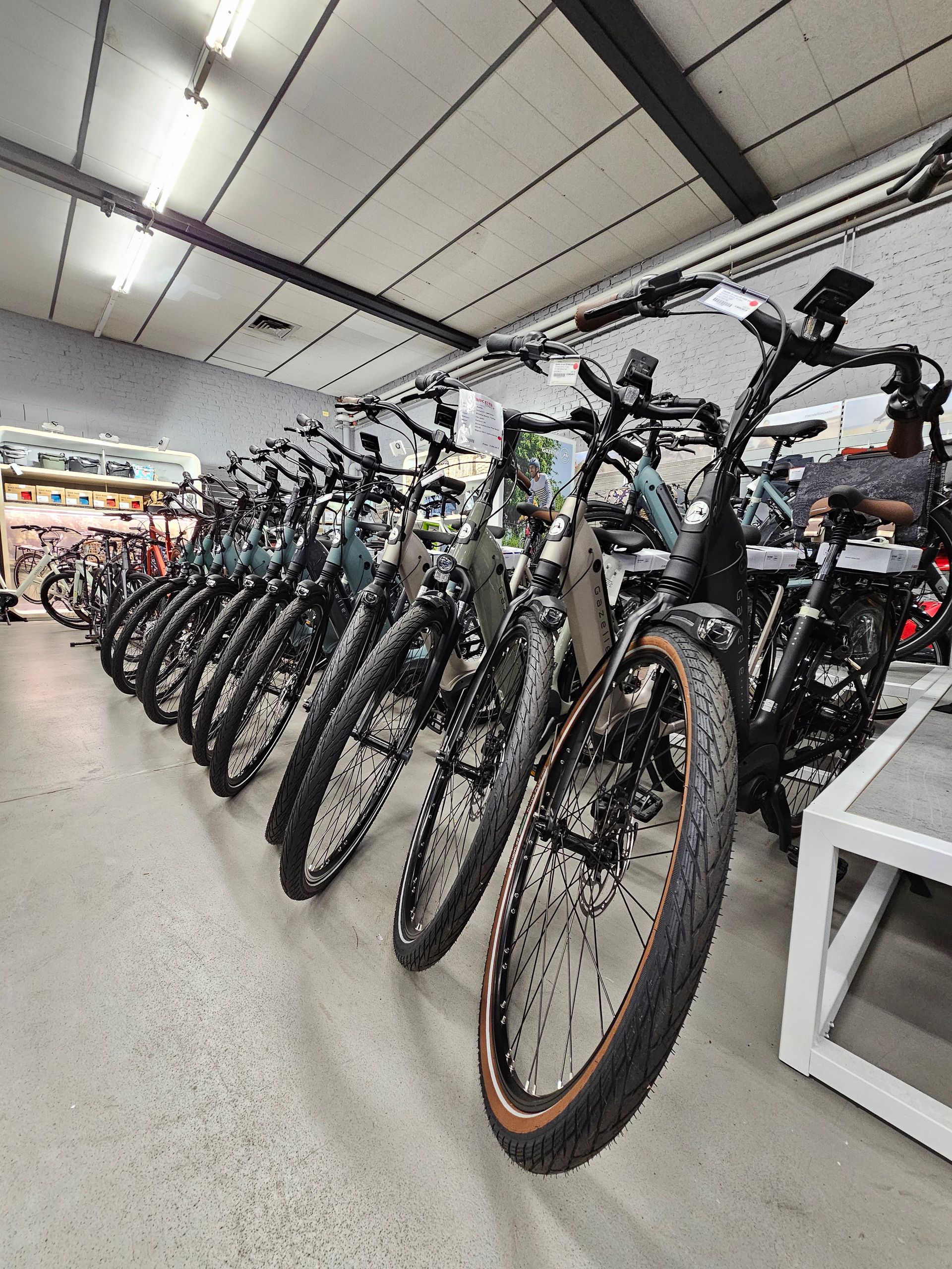 Mountainbikes im Fahrradladen für Trail und Gelände