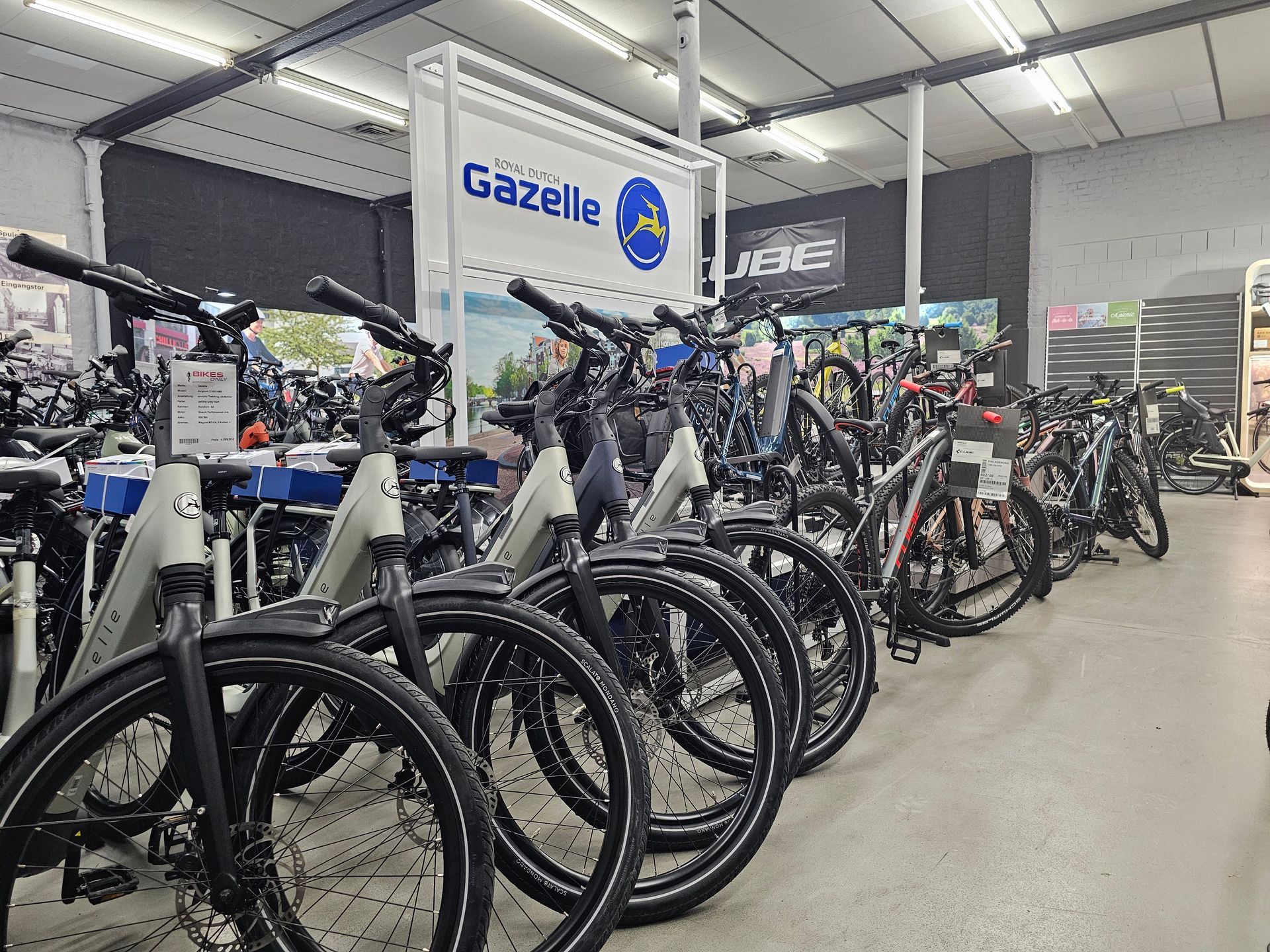 E-Bike-Ausstellung im Fachgeschäft mit Gazelle Modellen