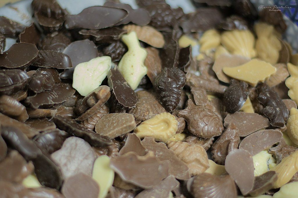 Chocolats noirs, au lait et blancs