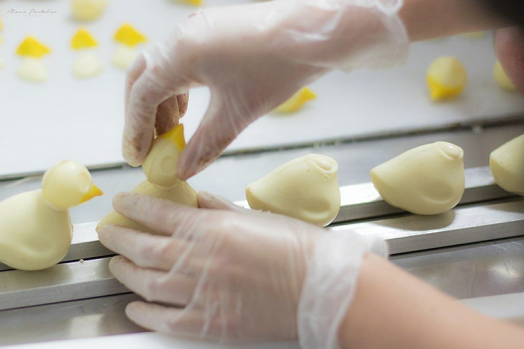 Poussins en chocolat blanc