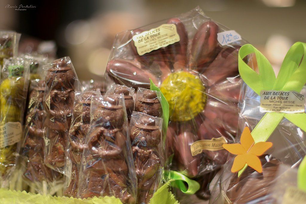 Marguerite au chocolat