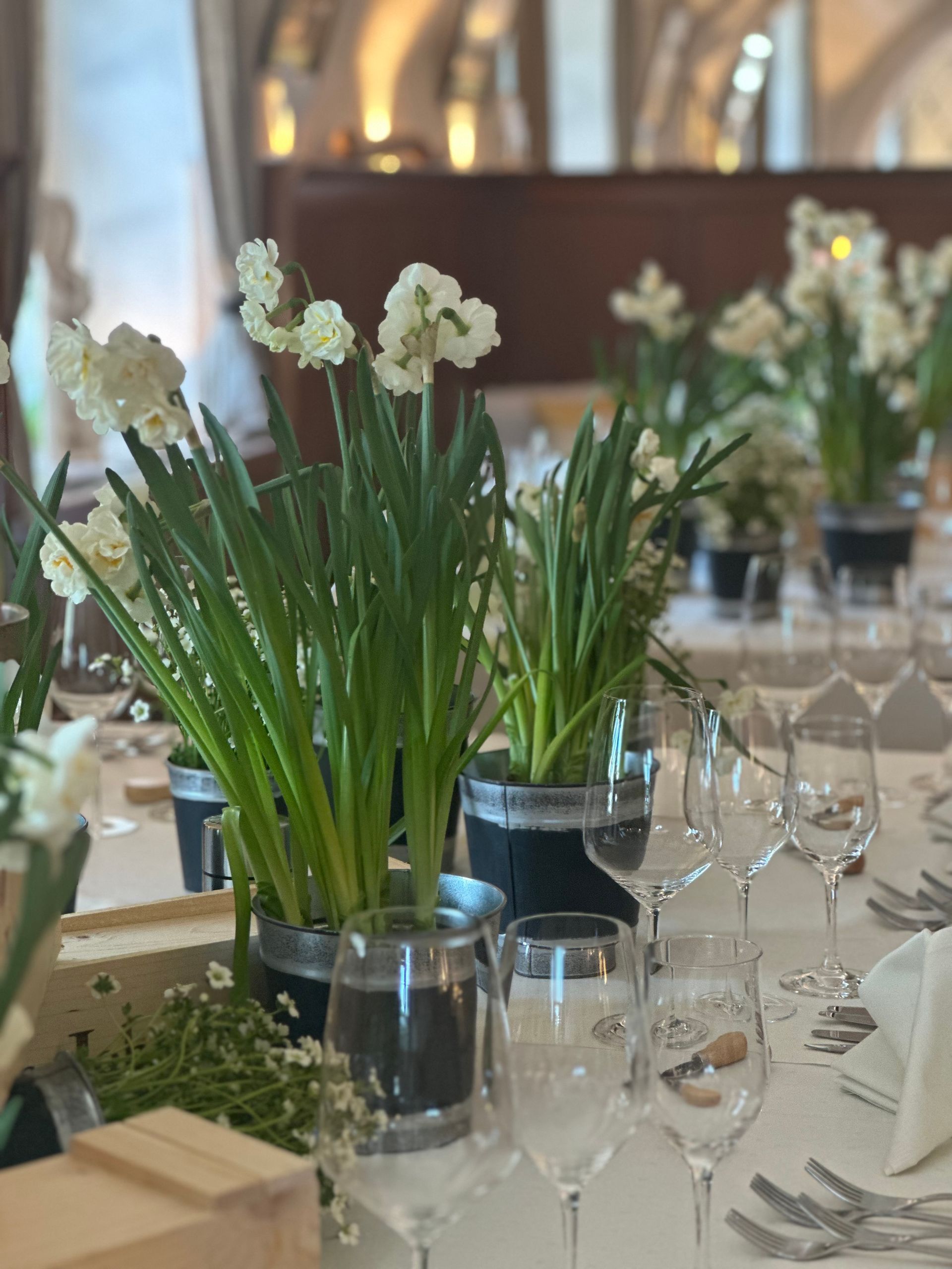 gedeckte große Tische für Feiern und Events