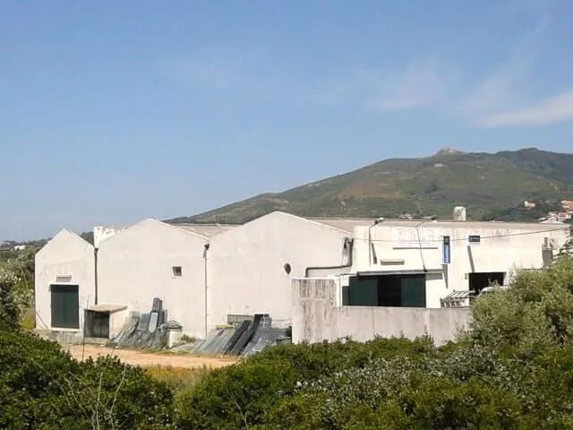 Um grande edifício branco com uma montanha ao fundo