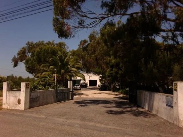 Uma entrada de automóveis que leva a uma casa com árvores em ambos os lados