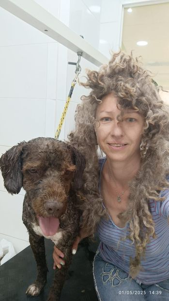 Una mujer sostiene un perro con mucho pelo.