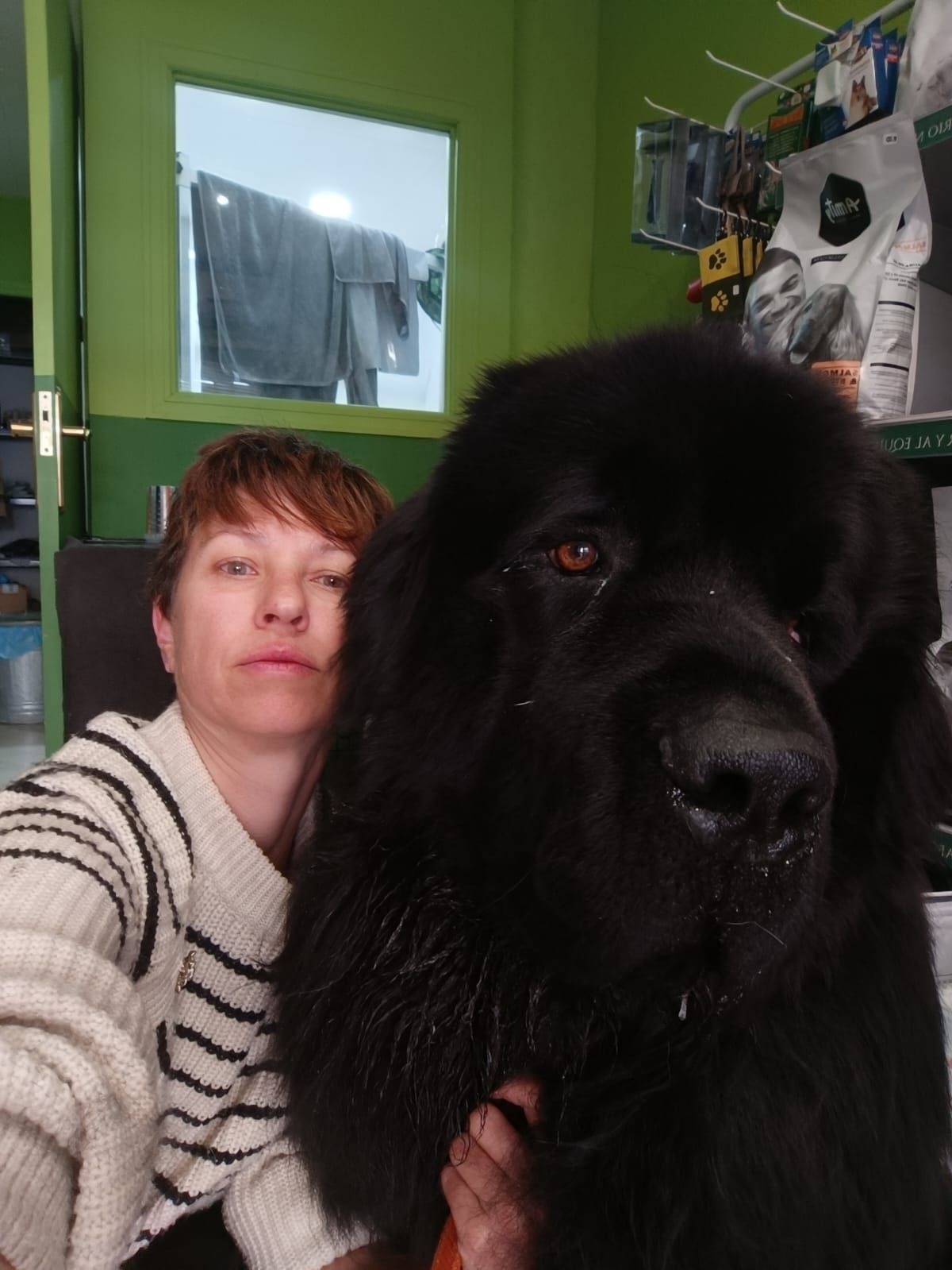 Una mujer sostiene un perro con mucho pelo.
