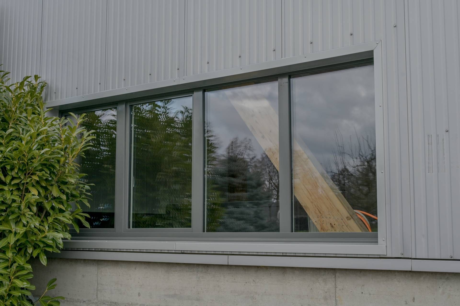 Graues Fenster mit vier Scheiben, eingefasst in graue Verkleidung, das Bäume und Himmel reflektiert.