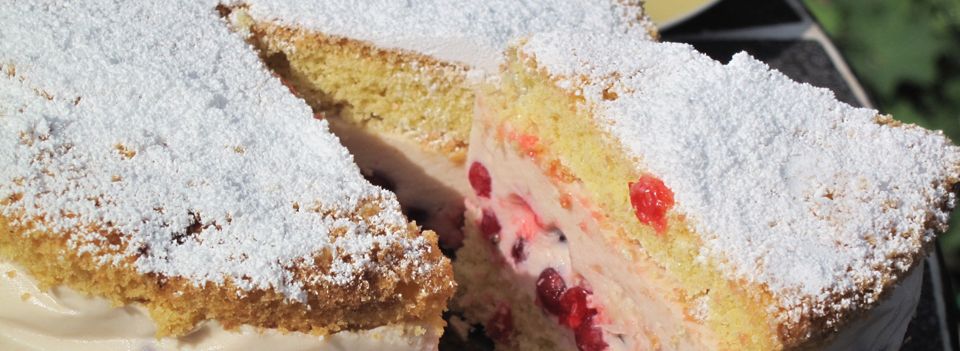 Stefanie Sigwart | Praxis für Ernährungsmedizin & Naturheilkunde