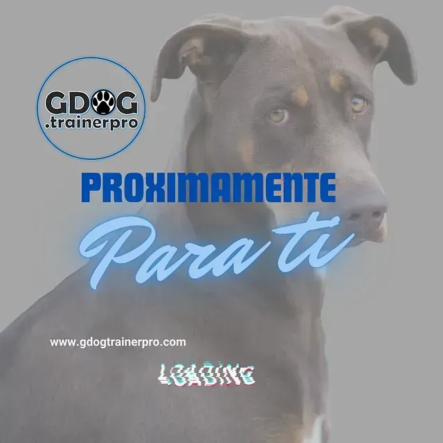 Productos de GDOG.Trainerpro