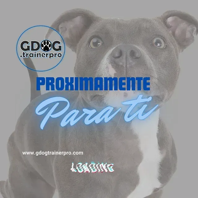Productos de GDOG.Trainerpro