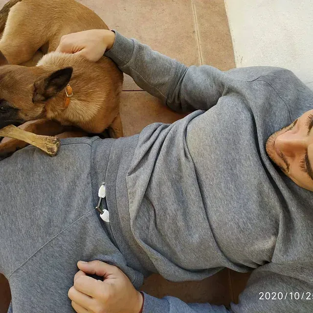 Servicios de GDOG.Trainerpro