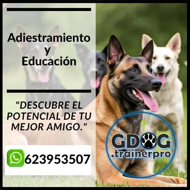 Servicios de GDOG.Trainerpro