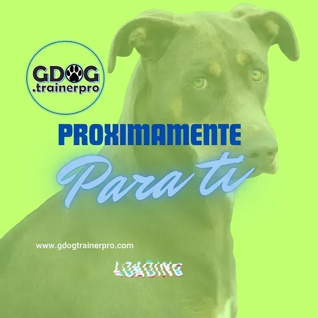 Productos de GDOG.Trainerpro