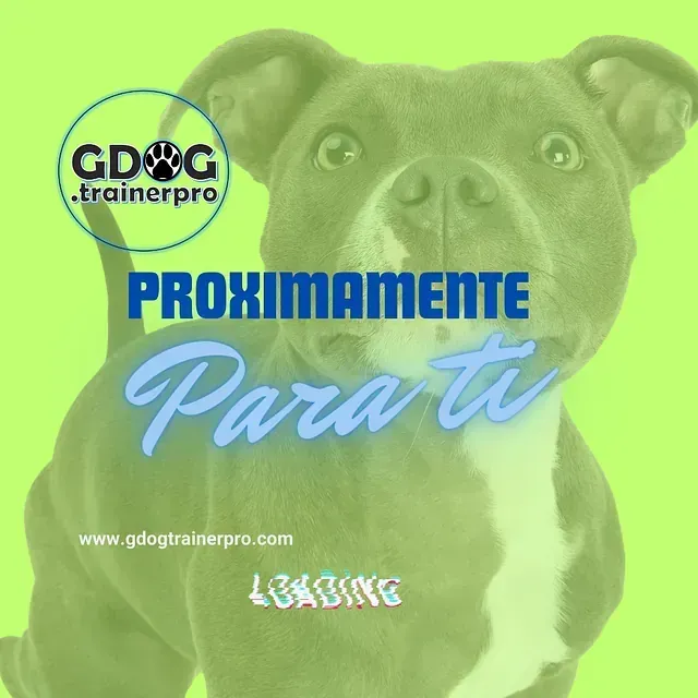 Productos de GDOG.Trainerpro