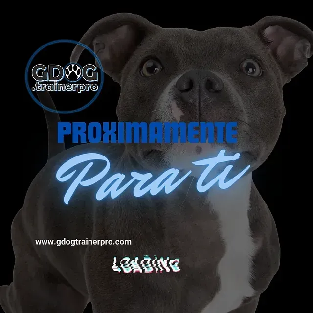 Productos de GDOG.Trainerpro