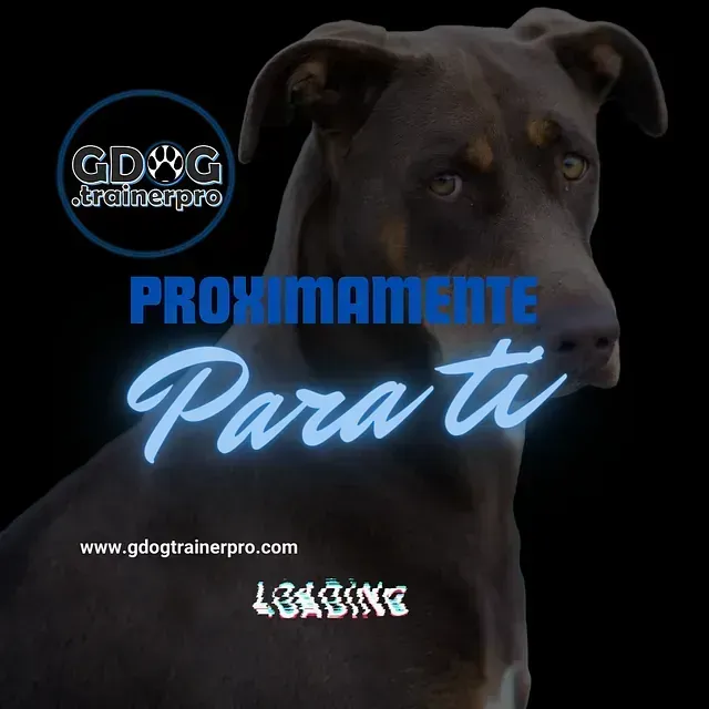 Productos de GDOG.Trainerpro