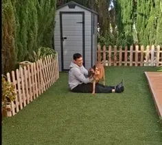 Servicios de GDOG.Trainerpro