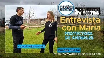 Artículos del blog