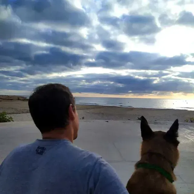 Servicios de GDOG.Trainerpro