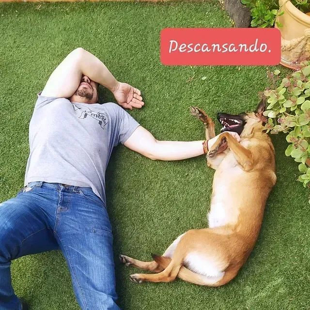 Servicios de GDOG.Trainerpro