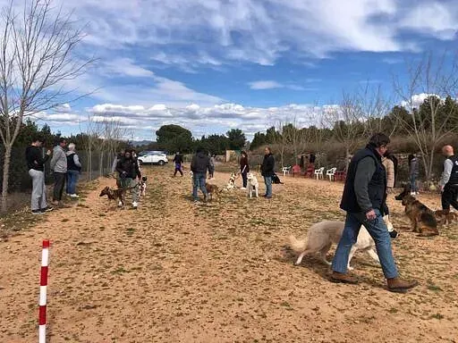 Servicios de GDOG.Trainerpro