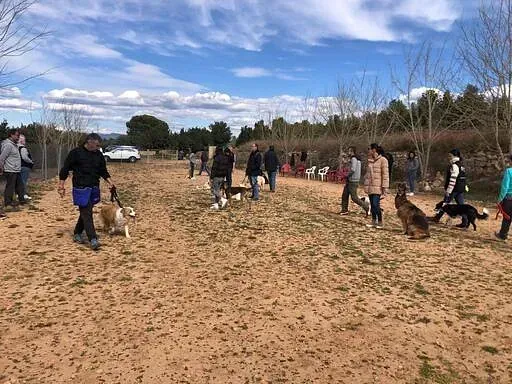 Servicios de GDOG.Trainerpro