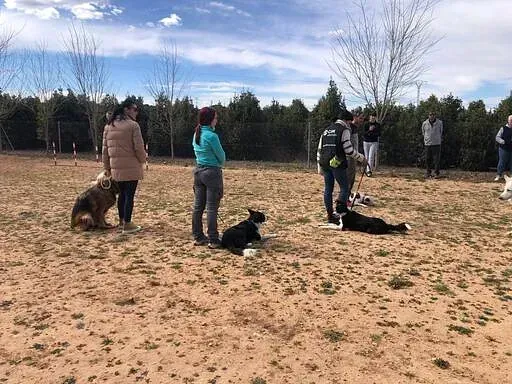 Servicios de GDOG.Trainerpro