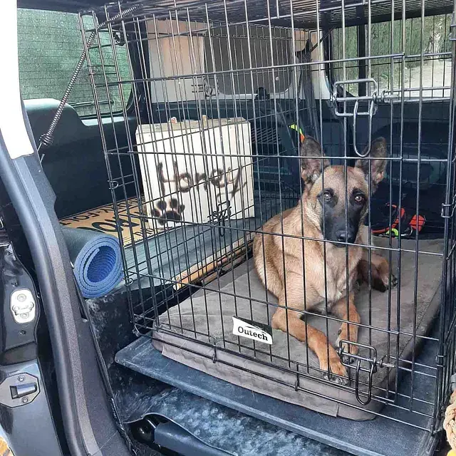 Servicios de GDOG.Trainerpro