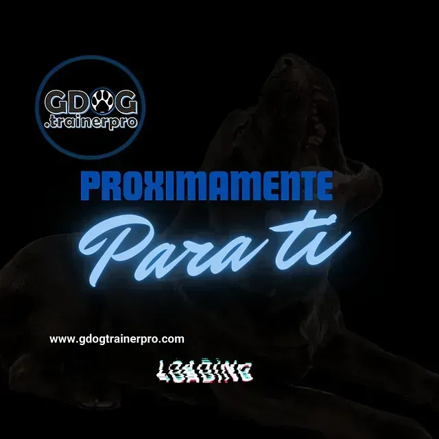 Productos de GDOG.Trainerpro