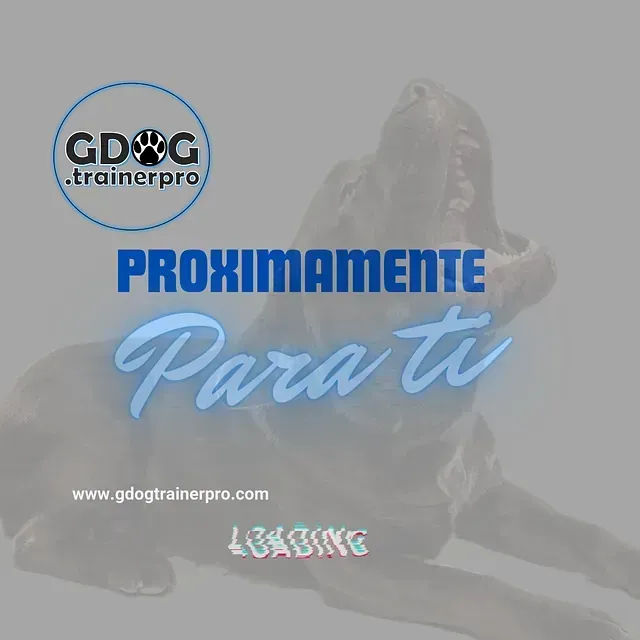 Productos de GDOG.Trainerpro