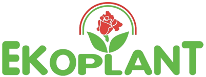 Un logotipo para ekoplant con una rosa roja y hojas verdes.