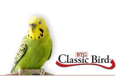 Logo Classic Bird