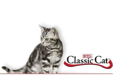 Logo Classic Cat