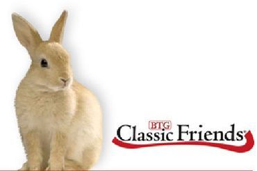 Logo Classic Friends