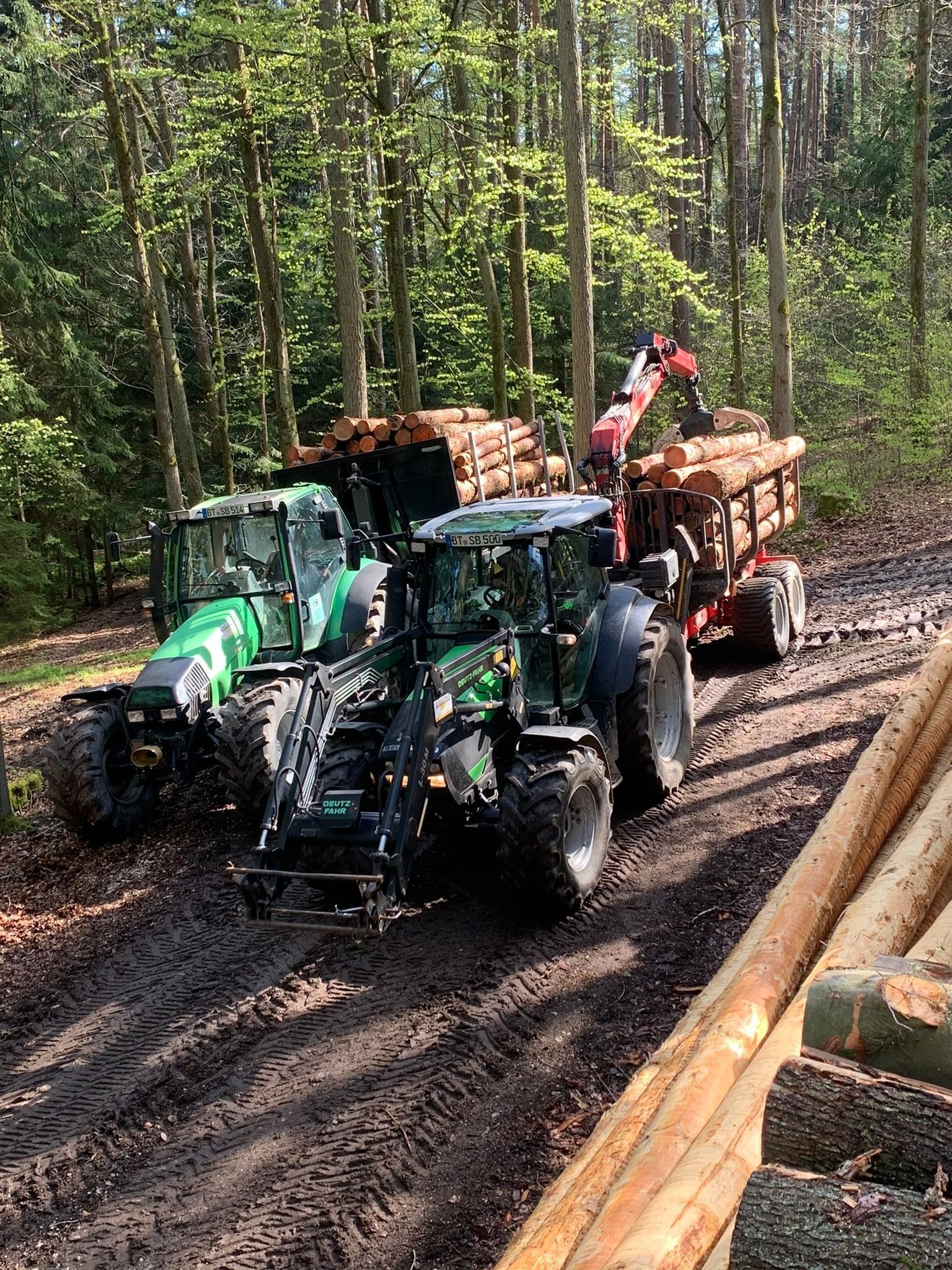 Holzernte im Wald mit Traktor und Rückewagen