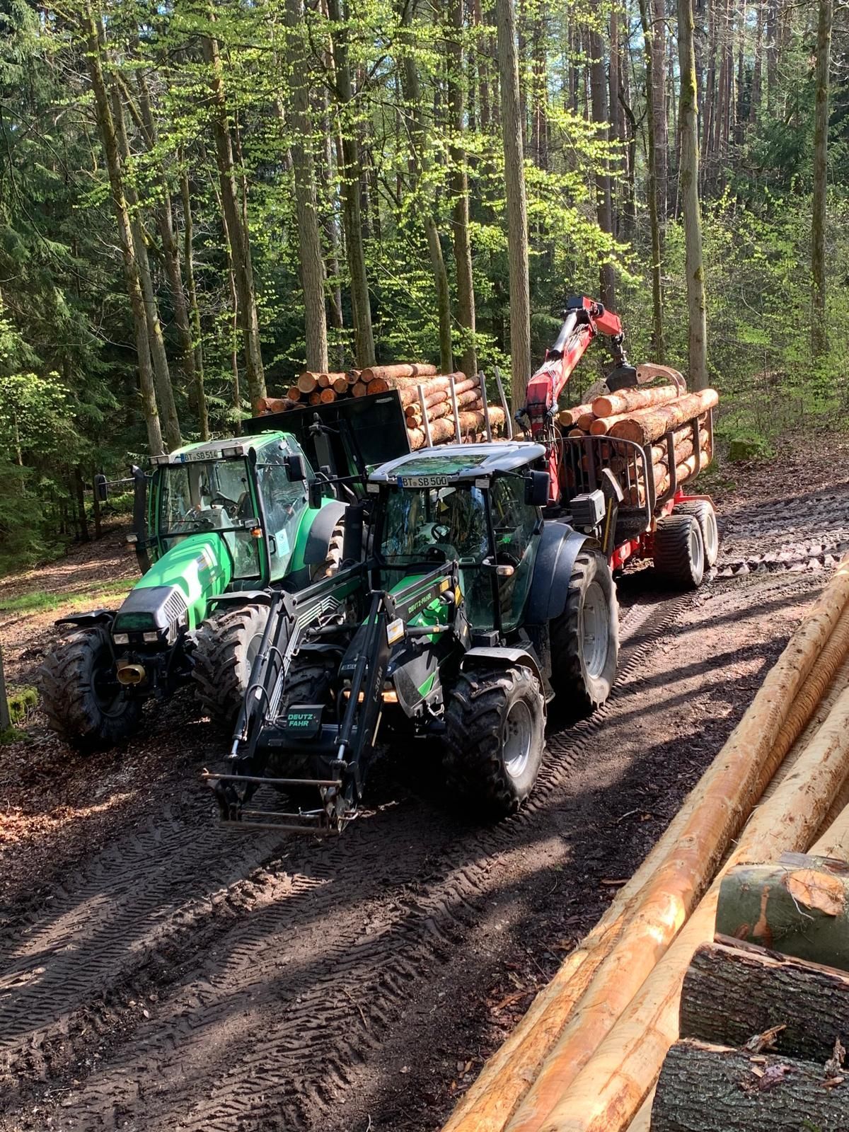 Holzernte mit Rückewagen im Wald